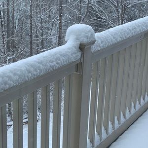 Meet your Posher, Skyler